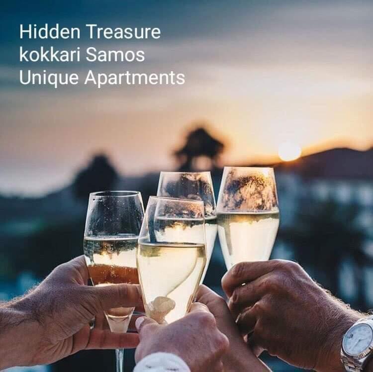 公寓 Hidden Treasure Kokkari